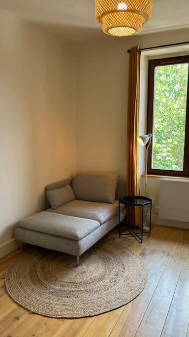 Appartement T2 Cocon Avec Balcon Et Parking à La Roche-sur-Foron Extérieur photo