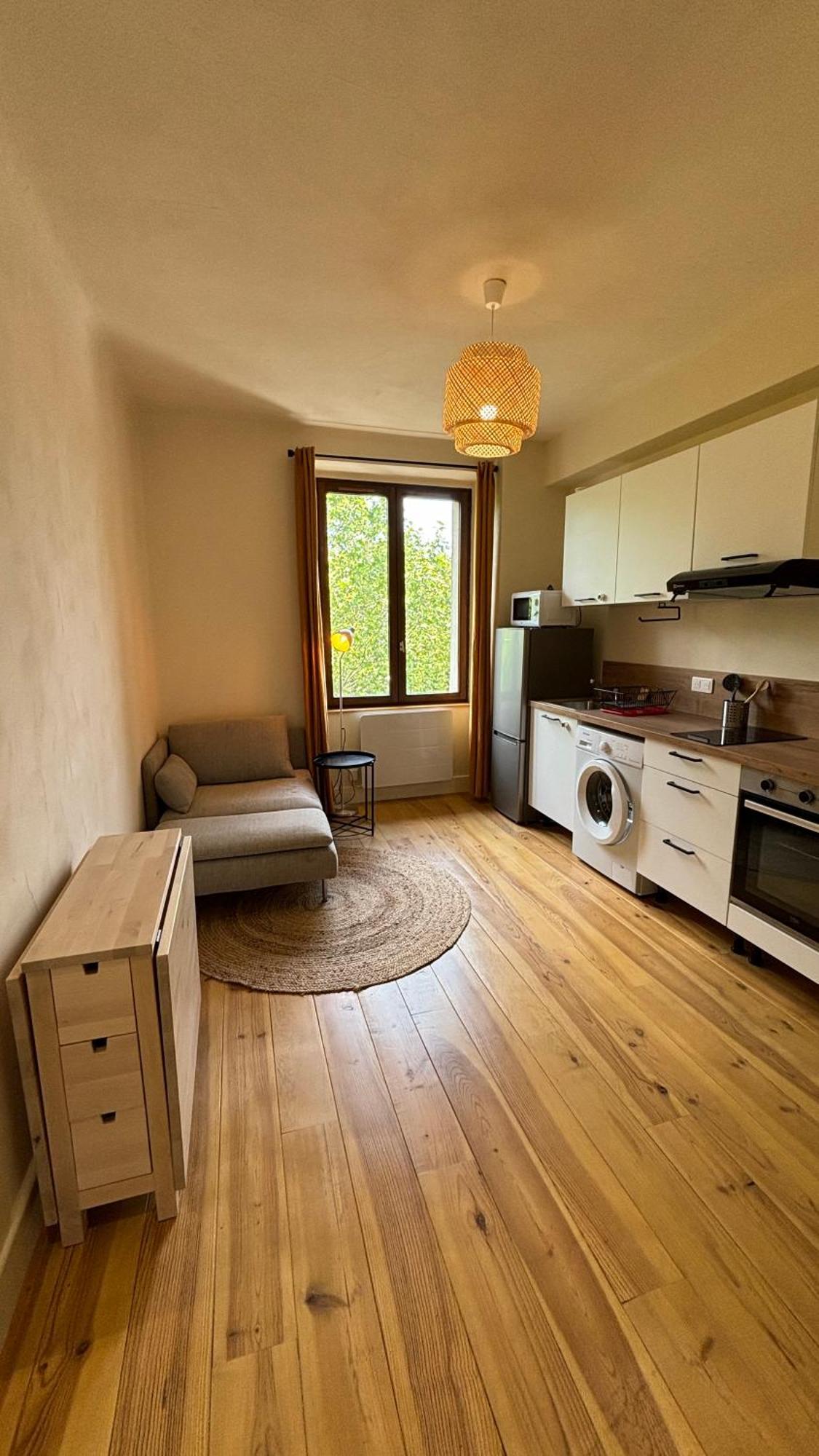 Appartement T2 Cocon Avec Balcon Et Parking à La Roche-sur-Foron Extérieur photo